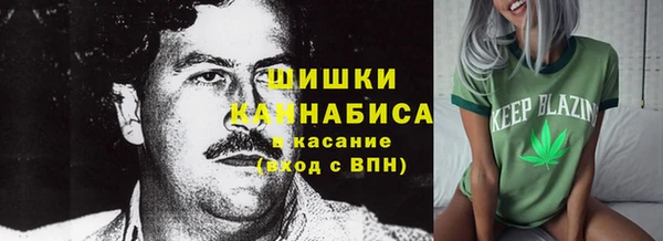 прущие крисы Няндома