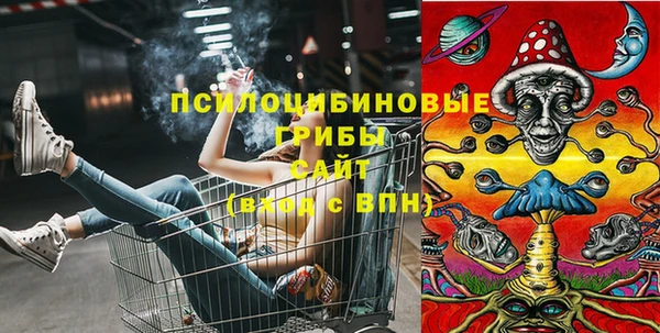 мдпв Нягань