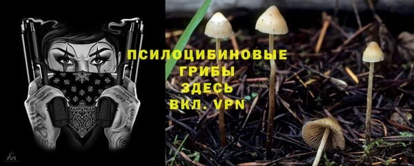 мет Апатиты