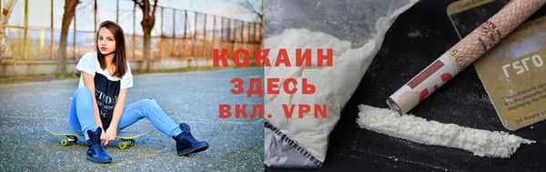 индика Ветлуга