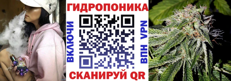 Шишки марихуана индика  МЕГА tor  Красный Холм 